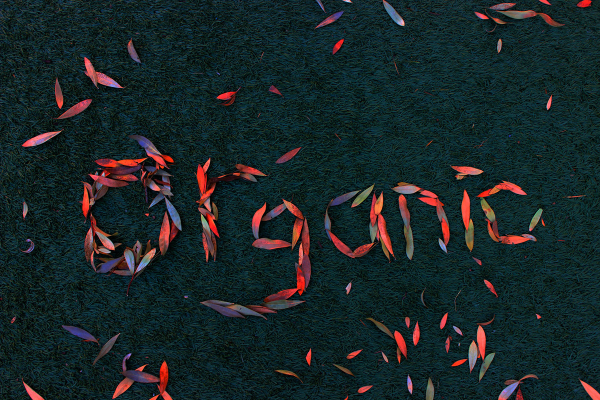 the word "Organic" spelled out with colourful leaves